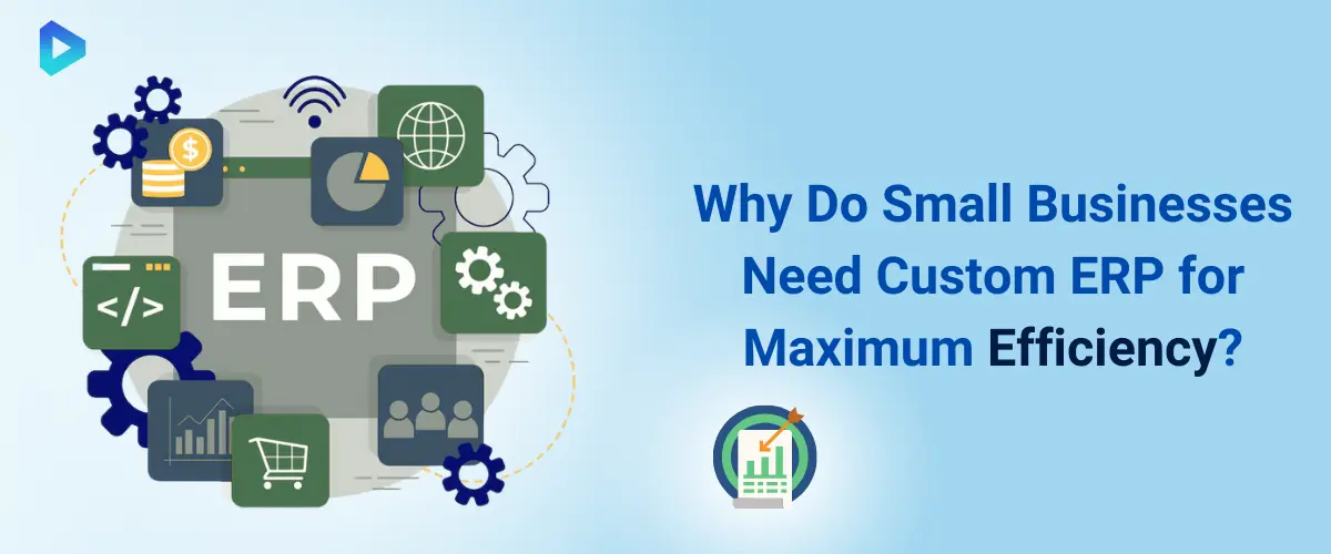 custom-erp-maximum-efficiency