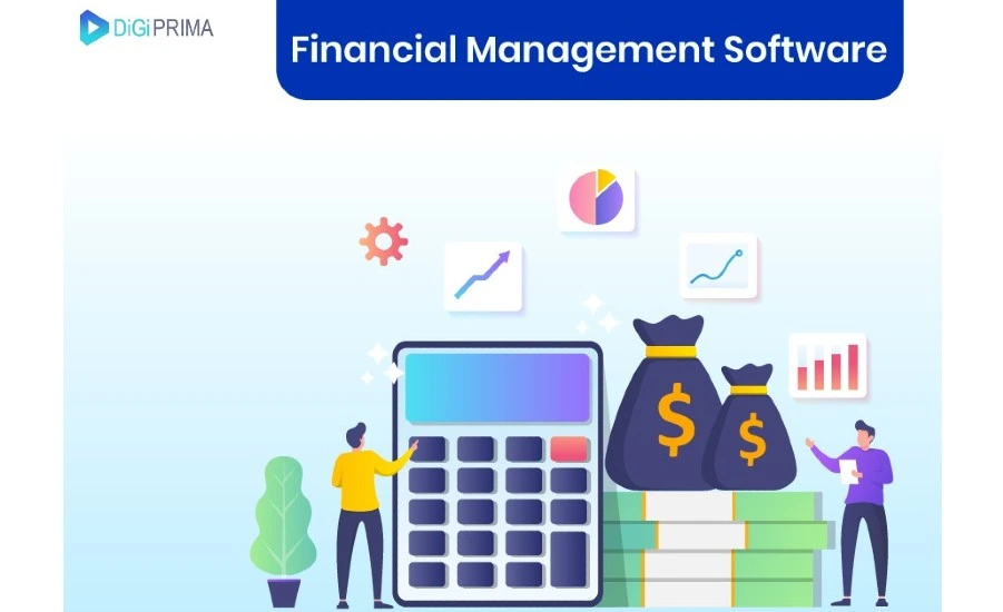 How does the financial management software system assist you in your personal financial decisions?